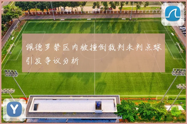 佩德罗禁区内被撞倒裁判未判点球引发争议分析
